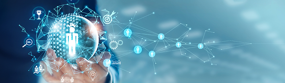 Zarządza kręgiem struktury sieciowej HR