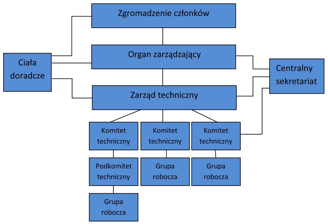 Typowa struktura organizacji normalizacyjnych